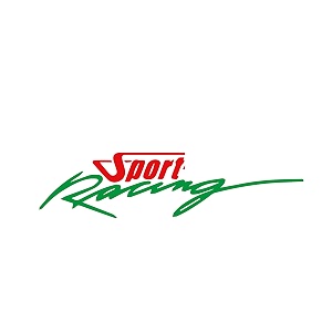 isee 360 bike stickers compatible with bajaj pulsar 125 ns 200 180 150 220 mask stem tank sport racing decals l x h 11 x 23 cms pack of 2 redgreen