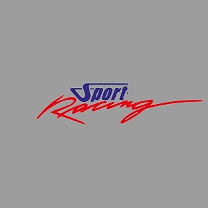 isee 360 bike stickers compatible with bajaj pulsar 125 ns 200 180 150 220 mask stem tank sport racing decals l x h 11 x 23 cms pack of 2 bluered