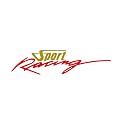 ISEE 360® Bike Stickers Compatible with Bajaj Pulsar 125 Ns 200 180 150 220 Mask Stem Tank Sport Racing Decals L X H 11 X 2.3 Cms Pack of 2 (Gold,Red)