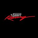 ISEE 360® Bike Stickers Compatible with Bajaj Pulsar 125 Ns 200 180 150 220 Mask Stem Tank Sport Racing Decals L X H 11 X 2.3 Cms Pack of 2 (Grey,Red)