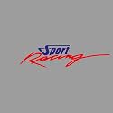 ISEE 360® Bike Stickers Compatible with Bajaj Pulsar 125 Ns 200 180 150 220 Mask Stem Tank Sport Racing Decals L X H 11 X 2.3 Cms Pack of 2 (Blue,Red)