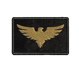 isee 360 eagle embroidery sweable applique patches for riders jackets bags clothes any dress etc l x h 2 x 3 inch gold