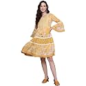 ishin Women39s Cotton Blend Embroidered A-Line Knee