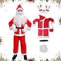 ITSMITSMYCOSTUME Santa Claus Dress for Christmas Costume