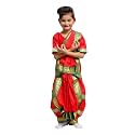 ITSMYCOSTUME Bharatnatyam Costume Dress for Girls Set