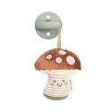 Itzy Ritzy Pacifier amp Lovey Set Silicone