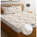 IVAZA Ezyption Cotton Super Soft 240 TC