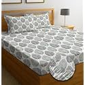 IVAZA Ezyption Cotton Super Soft 240 TC