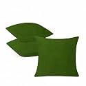 IVAZA Microfibre Soft &amp; Fulffy Filled Decorative Pillow/Throw Pillow Inserts,Sqaure Pillows Velvet Cushion Inserts Square Pillow,Cushion for Sofa, Car and DecorationSet of 3 (16" x 16") Light Green