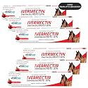 Ivermectin Horse Paste 1.87%, Horse Dewormer, Horse Wormer Syringe (6 Pack)