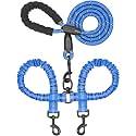 iYoShop Double Dog Leash, 360° Swivel, No Tangle, Large, Royal Blue