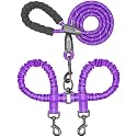 iYoShop Double Dog Leash, 360° Swivel, No Tangle, Large, 25-150 lbs, Purple