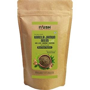 iyush herbal ayurveda karela jamun neem powder with gudmar vijaysar and bael leaf 400 gram