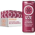 IZZE Sparkling Juice Beverage Blend, Blackberry, No Sugar Added, 8.4 FL OZ, 24 Cans