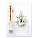 Jackson Global JS00134 Neuron Model - 2 Parts | 2500X Enlarged | Labeled Diagram Included