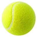JAGMOOLYA Products Sports Tennis Ball for Cricket and Tennis Game Rubber Cricket Tennis Ball Light Weight Tennis Practice Ball (12)