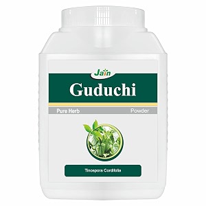 jain guduchi giloy powder 400g  100 pure guduchi tinospora cordifolia  natural immunity booster amp brain tonic  supports fever recovery digestion amp liver health