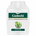 Jain Guduchi (Giloy) Powder 400g | 100% Pure Guduchi (Tinospora Cordifolia) | Natural Immunity Booster &amp; Brain Tonic | Supports Fever Recovery, Digestion &amp; Liver Health