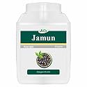 Jain Jamun (Syzygium Cumini) Powder, 400g