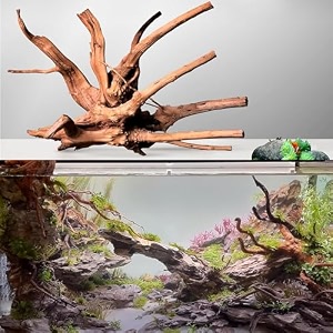 jainsons pet products natural driftwood for aquarium decor spider wood branches for reptilefish tank decorations tree root design display  shape may vary 