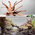 Jainsons Pet Products Natural Driftwood for Aquarium Decor Spider Wood Branches for Reptile/Fish Tank Decorations Tree Root Design Display | Shape May Vary |