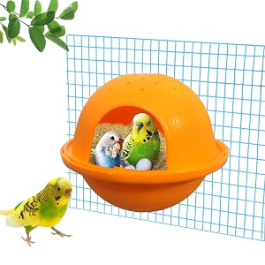 jainsons pet products small bird breeding nest box  comfortable wooden cage house for lovebirds finches amp canaries  safe nesting space for pet birds 10x12 cm pack of 1 assorted