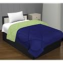 Jaipur Fabric 300 GSM Solid Plain Reversible Summer Microfiber AC Comforter/Duvet| All Season Single Size 3 Layered Quilted Blanket for Single Bed (220 cm x 152 cm, Navy Blue Parrot Green)