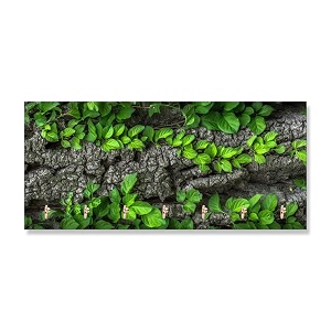 jaipurcrafts premium flowers printed wooden key holder 29 cm x 145 cm x 04 cm - 7 hooks