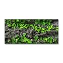 JaipurCrafts Premium Flowers Printed Wooden Key Holder (29 cm x 14.5 cm x 0.4 cm) - 7 Hooks