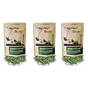 Jaivik Uttarakhand - Lemongrass Herbal Tea Loose Leaves (300 g), Dried leaf Helps in Detoxify, Glowing Skin, Hair, Pack of 3