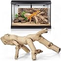 Janinka 6-8" Large Reptile Driftwood Branch for Bearded Dragon Gecko