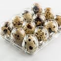 JAPCHET 200 Pack 12 Grid Quail Egg Cartons, Reusable Quail Egg Cartons Cheap Bulk, Stackable Plastic Quail Egg Container for Quail Eggs