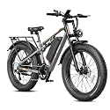 Jasion EB5 MAX Electric Bike for Adults 2000W Peak Motor, 48V 15Ah Battery