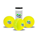 Jaspo T-20 Plus Practice Cricket /Wind Balls for Indoor & Outdoor Cricket Synthetic Ball