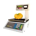 JBC Metal Thermal Printing Scale (Grey, 30 Kg)