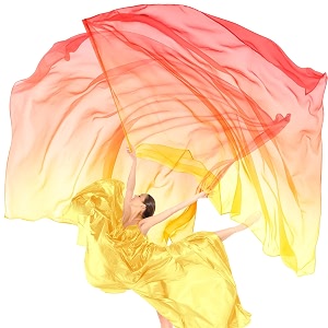 Jecery 2 Pack Praise Dance Worship Flags