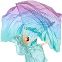 Jecery 2 Pack Praise Dance Worship Flags