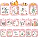 Jingmore 12 Pcs Pink Christmas Pot Holders with Pocket for Kitchen
