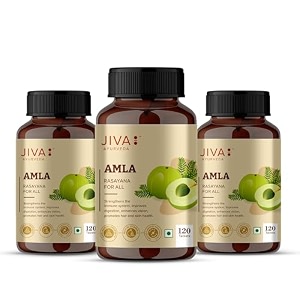 jiva amla tablets 500mg 360 tablet  100 pure herbs used rich in vitamin c  protects against free radicals  rich in antioxidants  improves digestion  enhances vision -120 tablet pack of 3