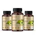 Jiva Amla Tablets 500mg 360 Tablet | 100% Pure Herbs Used, Rich In Vitamin C | Protects Against Free Radicals | Rich In Antioxidants | Improves Digestion | Enhances Vision -120 Tablet (Pack of 3)