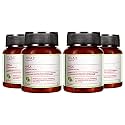 Jiva Amla Tablets - 60 Tablets (Pack of 4)