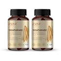 Jiva Shatavari Tablets 500gm | 100% Pure & Natural | Helps to Booss Immunity | Goodness of Shatavari, Babool, Maize & Starch | For Men & Women - 120 Tablets (Pack of 2)