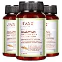 Jiva Shatavari Tablets 500mg 360 Tablet | 100% Pure &amp; Natural | Manages Blood Pressure - 120 Tablet (Pack of 3)