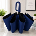 Jiyan Enterprise Automatic Folding Umbrella for Men