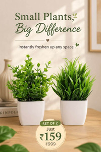 JJ Plastic Wild Artificial Plant with Pot