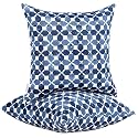 JMGBird Blue Outdoor Pillows Waterproof 18x18 Throw Pillows with Inserts