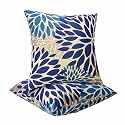 JMGBird Blue Throw Pillows with Inserts Included 18x18 Outdoor Pillows Waterproof