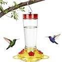 Joliyoou Hummingbird Feeder, 10 Once Glass Hummingbird Feeder Outdoor Hanging, Bird Nectar Feeder (Yellow &amp; Red)