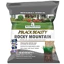 Jonathan Green Black Beauty Rocky Mountain Colorado Grass Seed Mix - 7 lb