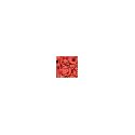 Joshua Tree Boy39s Mr. Men Little Miss